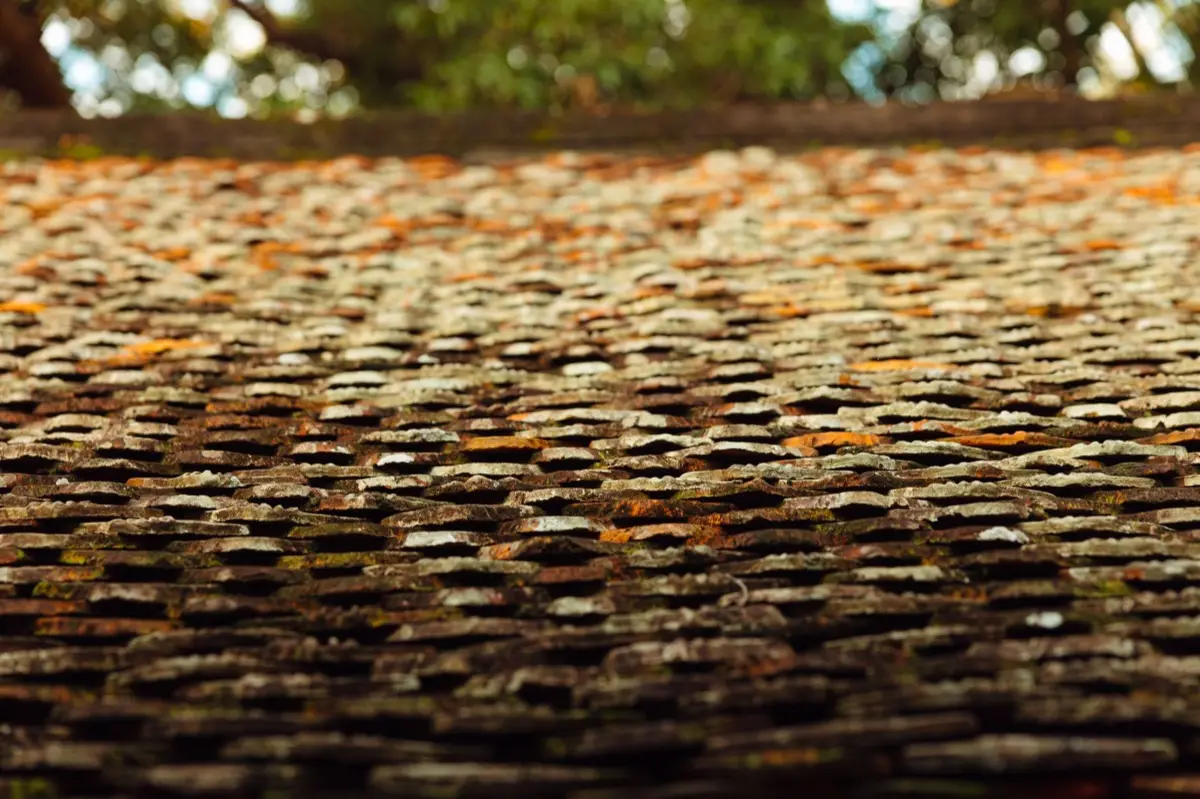 Moss growing on an aging asphalt shingle roof in Norwalk, CT