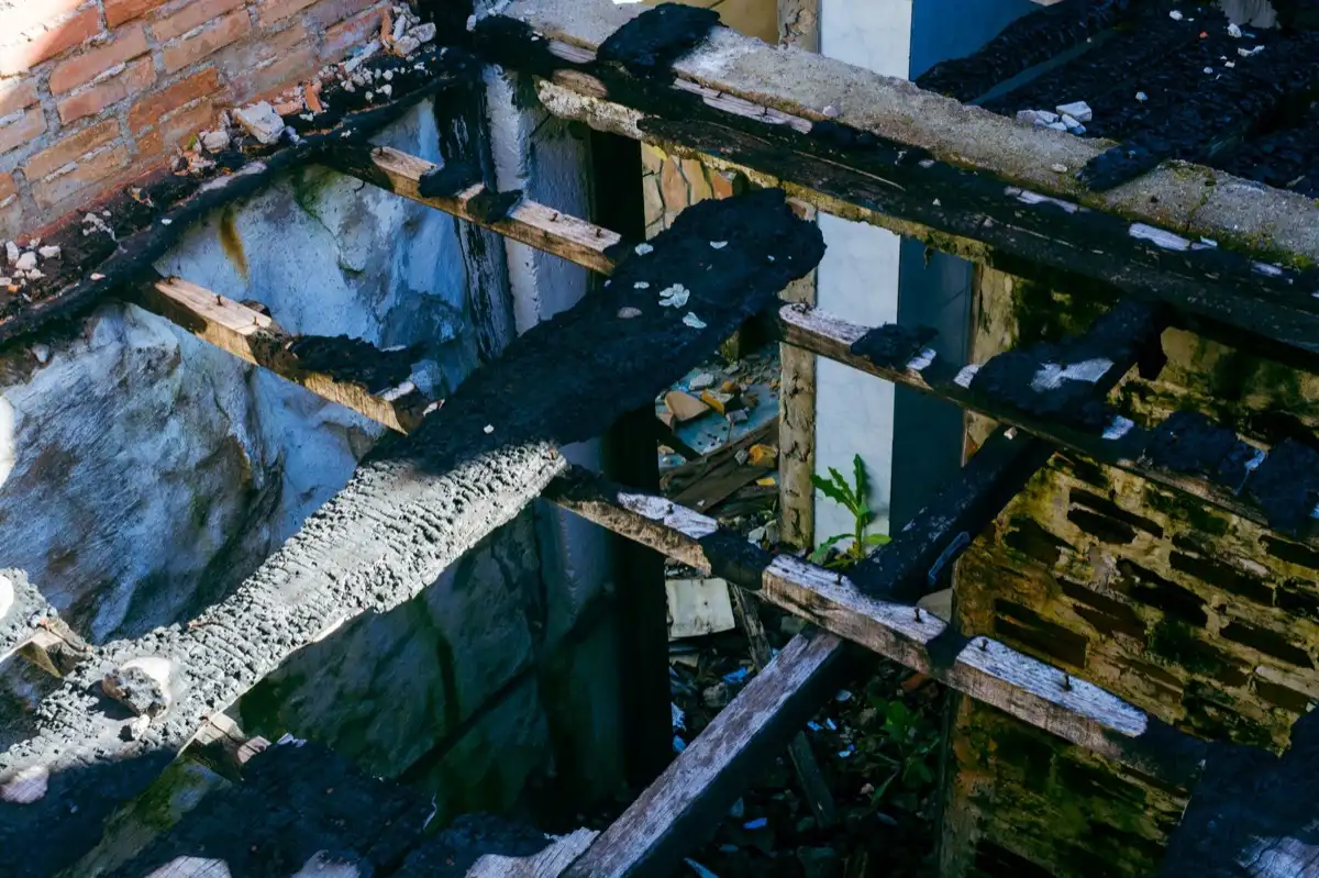 Rotted sheathing and rafters exposed under a long-running roof leak in Norwalk, CT